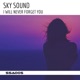 I Will Never Forget You Single