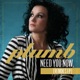 Need You Now Remixes