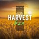 Harvest Szn