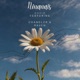 NINANAIS feat Raven Bobilar CHANDLER Single