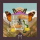 Butterflies Single