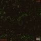 Mulch EP