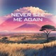 Never See Me Again Single