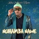 Ngihamba Nawe feat Siziwe Ngema Single
