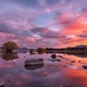 The Beauty of Creation The Illusion of Evolution Single