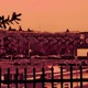 Tangerine EP