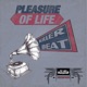 Pleasure of Life Single