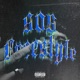 505 FREESTYLE feat anWell Single