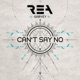 Can t Say No Remixes Single