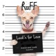 Look n for Love Single
