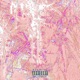 Drank2Much feat CHE TRAY Single