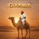 Goodbye Single