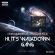 Hi It s WalkDownGang feat WDGJ Single