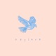 Skylark Single