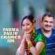 Pauma Pauju Chamcham Single