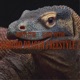 KOMODO DRAGON FREESTYLE 2 Single