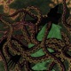 Zirkuszelt Single