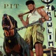Pit Single