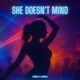 She Doesn t Mind Techno Single