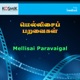 Mellisai Paravaigal Original Motion Picture Soundtrack