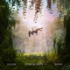 Parachute feat RUNN Single