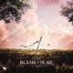 Blame On Me feat Sky Sol Single