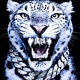 WHITE TIGER Single