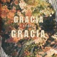 Gracia Sobre Gracia