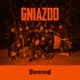 Gniazdo feat Sarius Gedz Onek87 Paluch Szpaku Lipa Joda Kobik Single