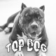 Top Dog feat Jamesy Single