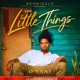 The Little Things Single