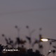 Nothing Left Single