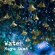 Water Single