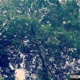 Cazper Single