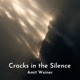 Cracks in the Silence Single