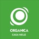 Caga Nele Single