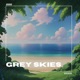 grey skies Single