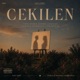 Çekilen Single