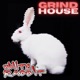 White Rabbit Single