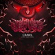 CRAWL feat Lexi Ryan Single