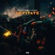Levitate feat SamDan Single