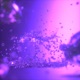Pilot Single