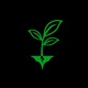 Growth Single