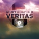 Veritas Single