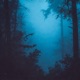 lowmist Single
