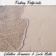 Fading Footprints Single