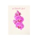 October Love Single