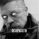 Despierta Single