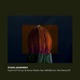 Imprint of the Sun African Rhythm EP feat MAUMA Single