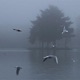 Untitled Single